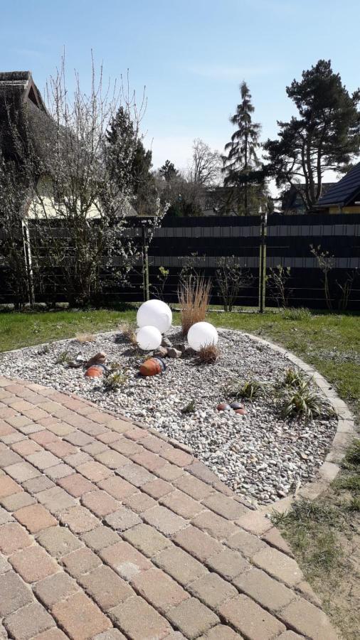Ferienwohnung Born Am Darsswald Eg Extérieur photo